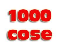 1000 COSE DI CONTINI MARCO FRANCESCO
